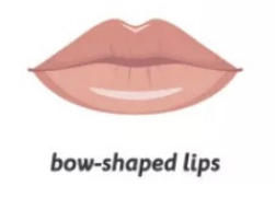 Bow Shaped Lips