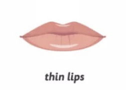 Thin Lips
